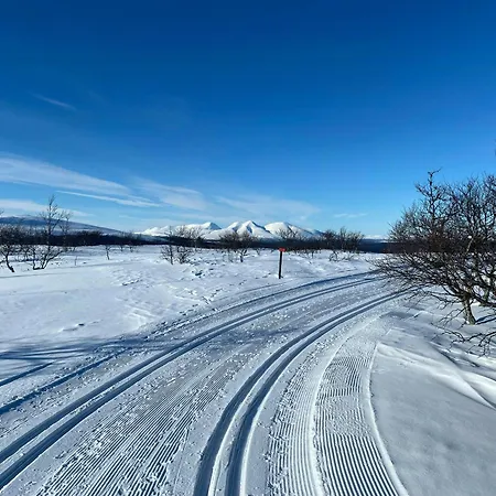 Mountain By Femunden Facing Solen * Nymoen