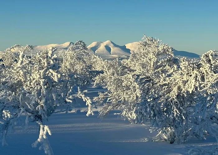 Mountain By Femunden Facing Solen Casa vacanze