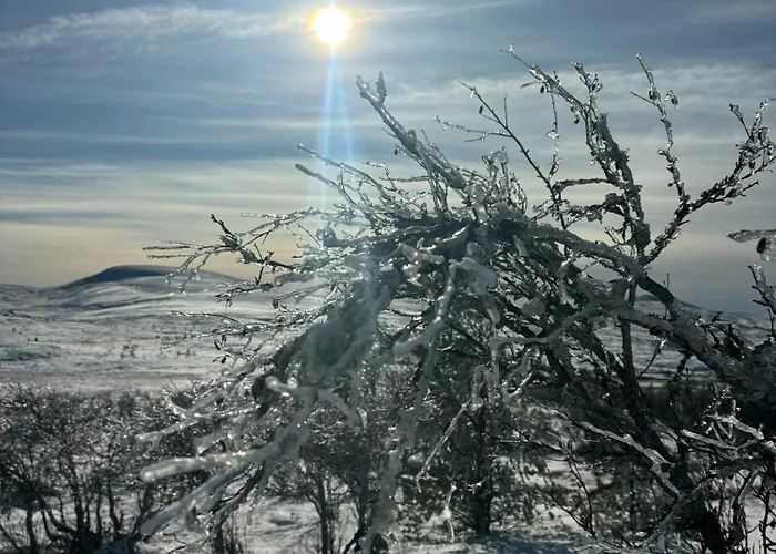 Mountain By Femunden Facing Solen *