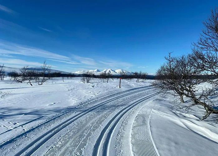 Mountain By Femunden Facing Solen * Nymoen
